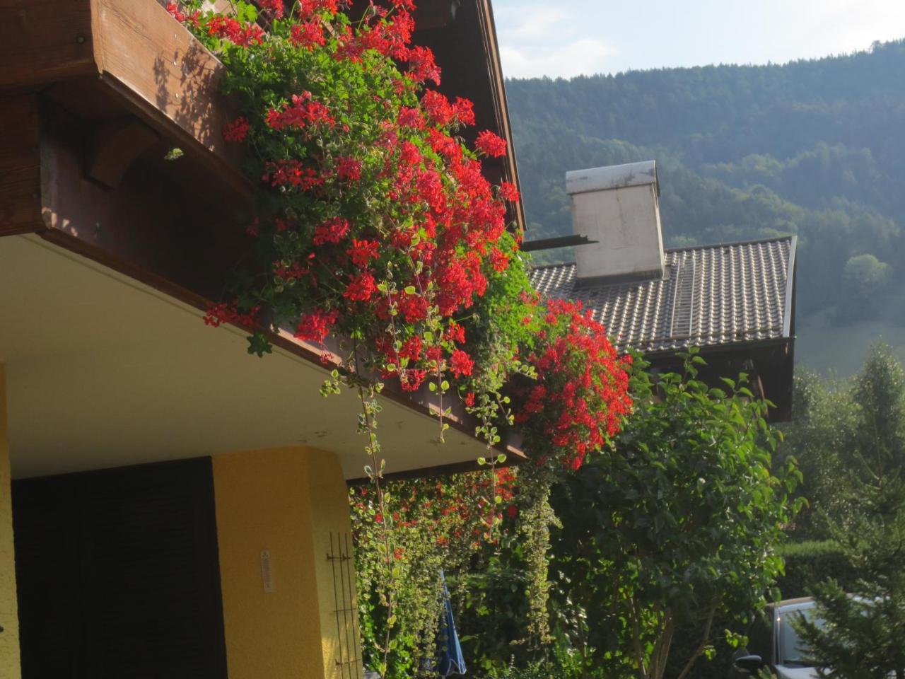 רוהפולדינג Hotel Alp Inn - Chiemgaukarte Inclusive מראה חיצוני תמונה
